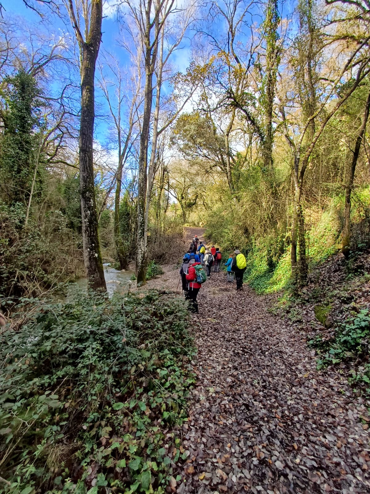 Fin de semana de lo mas variado entre Ronda y Arriate