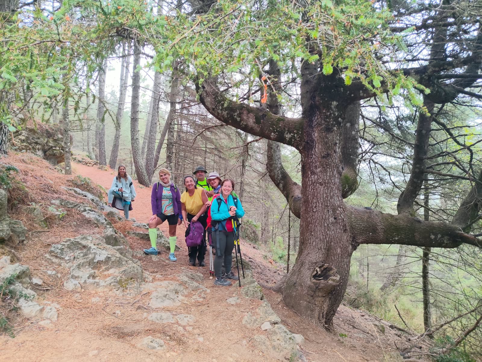 El otoño entra en la Sierra de las Nieves